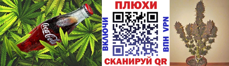 Еда ТГК конопля закладки Гаджиево